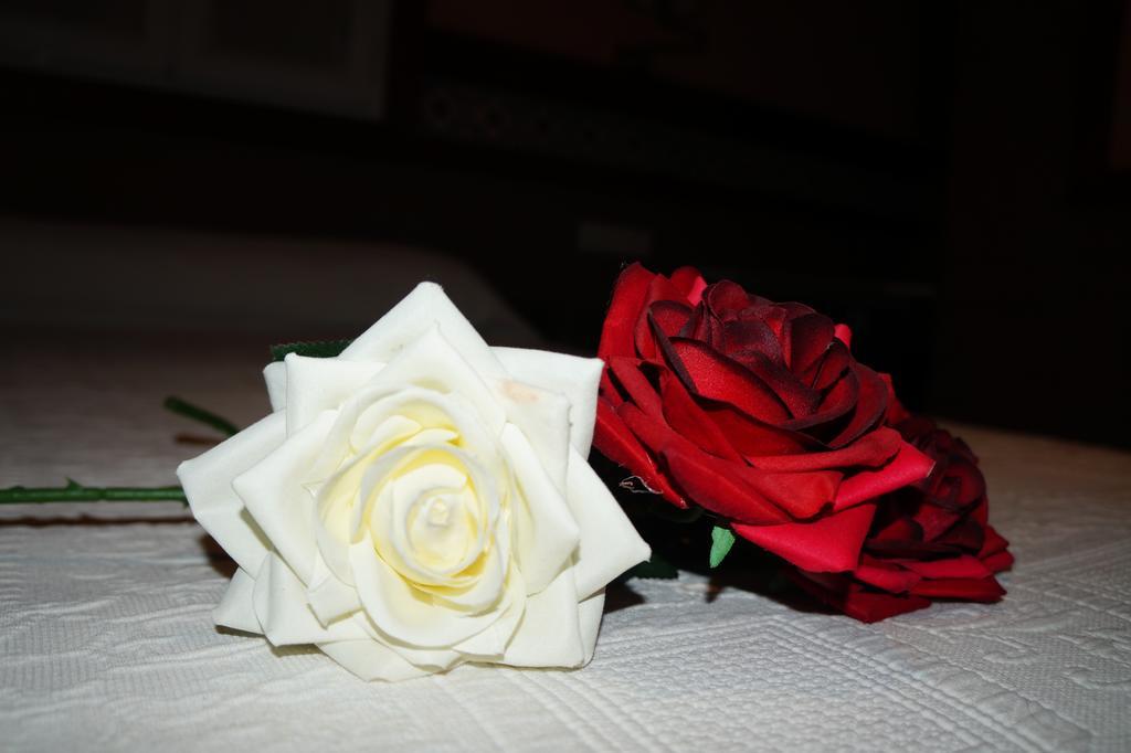 קוניל דה לה פרונטרה Hostal La Conilena חדר תמונה